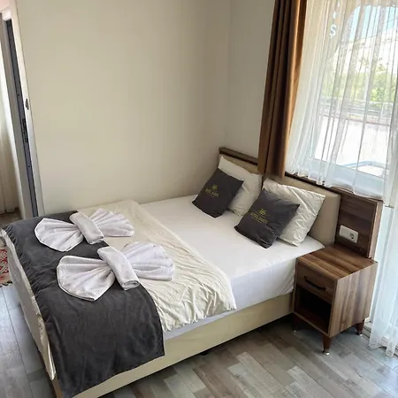Hotel Sahin *
