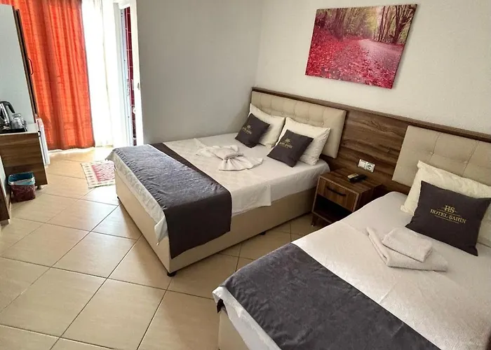 Sahin Hotel *